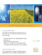 Suniva19.4%效率单晶太阳能电池数据表