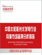 中国太阳能光伏发电行业月度市场监测报告(12)